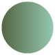 zielony/oliwkowy